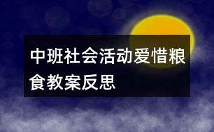 中班社會活動愛惜糧食教案反思