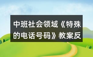 中班社會(huì)領(lǐng)域《特殊的電話(huà)號(hào)碼》教案反思