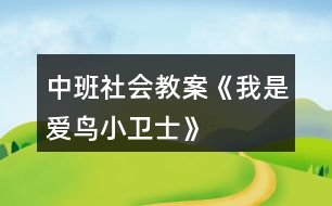 中班社會教案《我是愛鳥小衛(wèi)士》