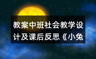 教案中班社會(huì)教學(xué)設(shè)計(jì)及課后反思《小兔的花園》