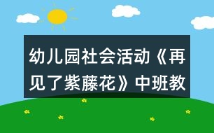 幼兒園社會(huì)活動(dòng)《再見了紫藤花》中班教案反思