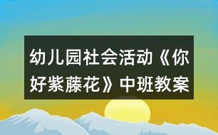 幼兒園社會(huì)活動(dòng)《你好紫藤花》中班教案反思