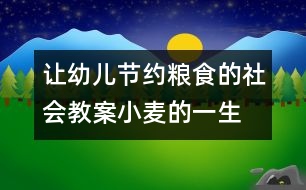 讓幼兒節(jié)約糧食的社會教案：小麥的一生