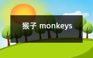 猴子 monkeys