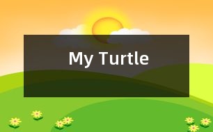 My Turtle