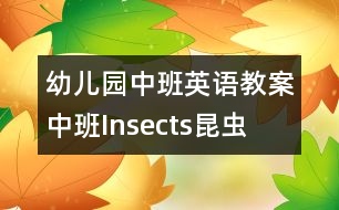 幼兒園中班英語教案：中班Insects（昆蟲）