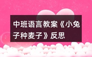 中班語言教案《小兔子種麥子》反思