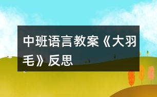 中班語(yǔ)言教案《大羽毛》反思