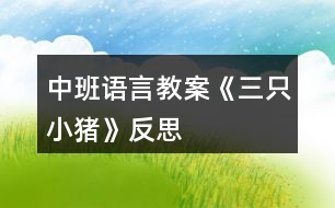 中班語(yǔ)言教案《三只小豬》反思