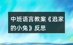 中班語(yǔ)言教案《逃家的小兔》反思