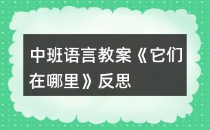 中班語言教案《它們在哪里》反思