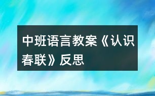 中班語言教案《認識春聯(lián)》反思