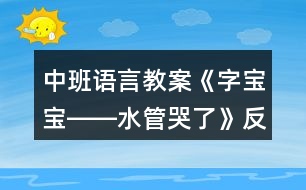 中班語(yǔ)言教案《字寶寶――水管哭了》反思