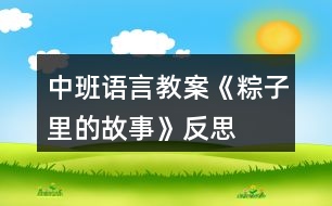 中班語(yǔ)言教案《粽子里的故事》反思