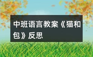 中班語(yǔ)言教案《貓和包》反思