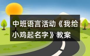 中班語言活動《我給小雞起名字》教案