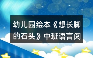 幼兒園繪本《想長(zhǎng)腳的石頭》中班語言閱讀教案