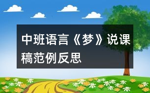 中班語言《夢(mèng)》說課稿范例反思