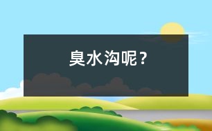 臭水溝呢？