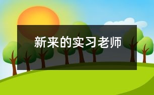 新來的實(shí)習(xí)老師