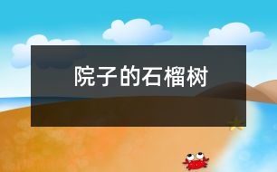 院子的石榴樹