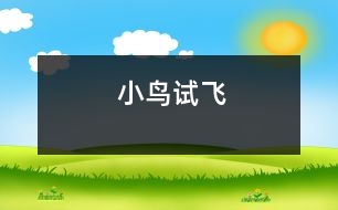 小鳥(niǎo)試飛