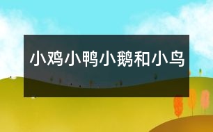 小雞、小鴨、小鵝和小鳥