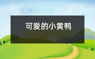 可愛(ài)的小黃鴨