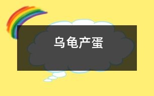 烏龜產(chǎn)蛋