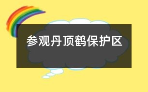 參觀丹頂鶴保護區(qū)