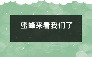 蜜蜂來(lái)看我們了