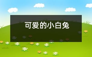 可愛(ài)的小白兔