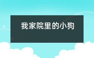 我家院里的小狗