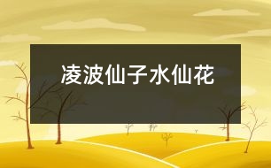 凌波仙子——水仙花