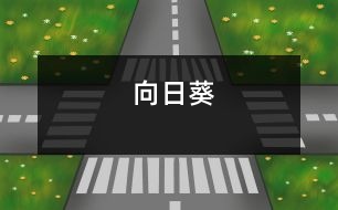 向日葵