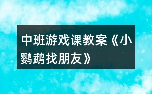 中班游戲課教案《小鸚鵡找朋友》