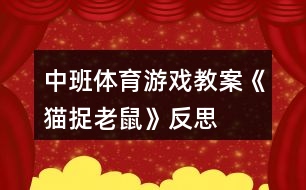 中班體育游戲教案《貓捉老鼠》反思