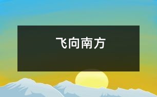 飛向南方