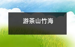 游茶山竹海