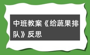 中班教案《給蔬果排隊》反思