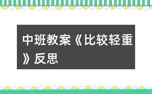 中班教案《比較輕重》反思