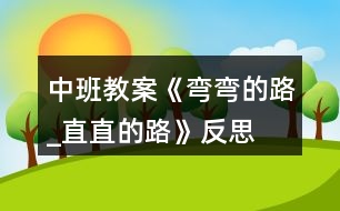 中班教案《彎彎的路_直直的路》反思