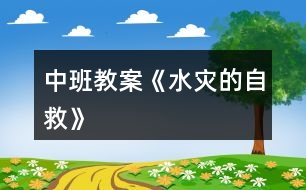 中班教案《水災的自救》