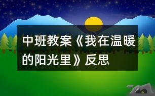 中班教案《我在溫暖的陽光里》反思