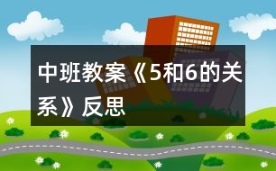 中班教案《5和6的關(guān)系》反思