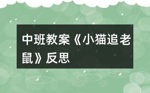 中班教案《小貓追老鼠》反思