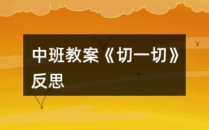 中班教案《切一切》反思