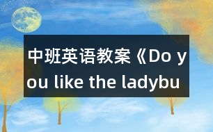 中班英語教案《Do you like the ladybug?》