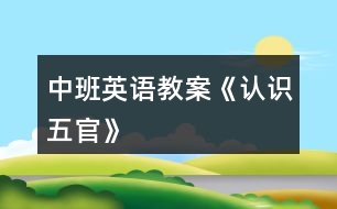 中班英語教案《認識五官》