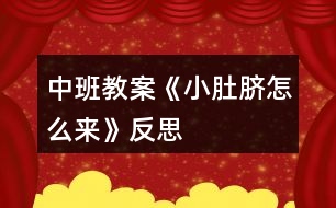 中班教案《小肚臍怎么來(lái)》反思